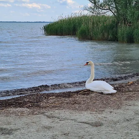 Apartment Szepkilato Koezepso Szint Medencevel Es Kilatassal